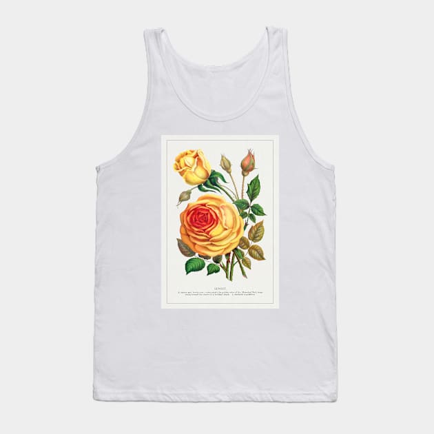 Sunset Rose Lithograph (1900) Tank Top by WAITE-SMITH VINTAGE ART